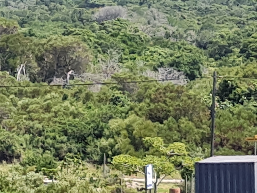 0 Bedroom Property for Sale in Paradise Beach Eastern Cape